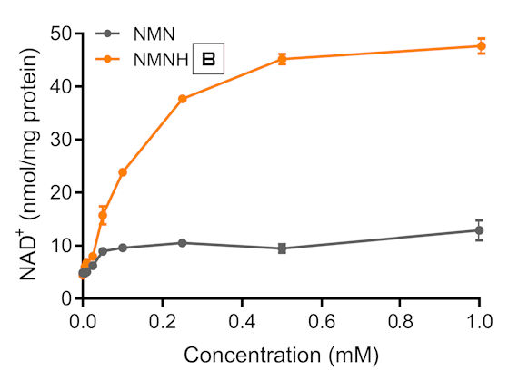 NMNH (amorficzny) vs. NMN